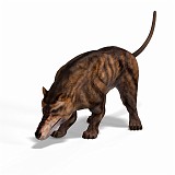 Andrewsarchus 04 A_0001